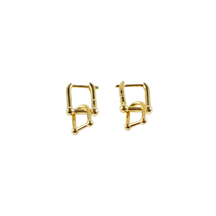 special gold hoops